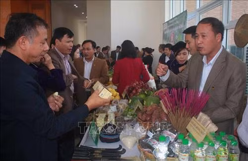 Đại biểu dự hội nghị tham quan các gian hàng bày bán sản phẩm đặc sản tỉnh Cao Bằng. Ảnh: Chu Hiệu - TTXVN. Đại biểu dự hội nghị tham quan các gian hàng bày bán sản phẩm đặc sản tỉnh Cao Bằng. Ảnh: Chu Hiệu - TTXVN.