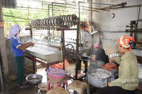 Tằm - đặc sản hút khách ở một làng nghề xứ Nghệ ảnh 3 Tằm - đặc sản hút khách ở một làng nghề xứ Nghệ ảnh 3