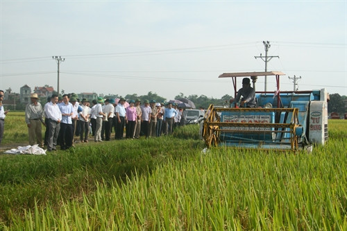Phó Bí thư Thường trực Thành ủy Hà Nội Ngô Thị Thanh Hằng thăm mô hình ứng dụng cơ giới hóa trong thu hoạch lúa trên cánh đồng xã Hồng Phong, huyện Chương Mỹ.