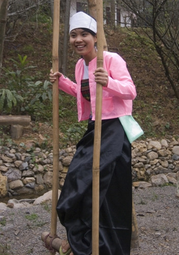 Đu xuân (ảnh chụp ở Chăm Mát, Hòa Bình). Đu xuân (ảnh chụp ở Chăm Mát, Hòa Bình).