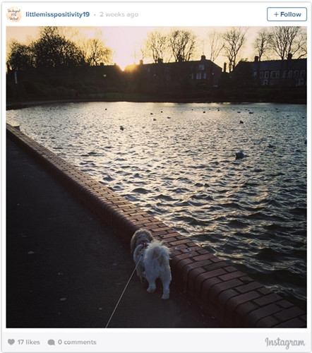 Những bài tập giảm cân "không mồ hôi" mà vẫn hiệu quả bất ngờ ảnh 3