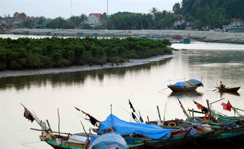 Lá chắn thiên nhiên giúp con người chống lại những biến đổi khí hậu. Ảnh: Thanh Tùng/TTXVN Lá chắn thiên nhiên giúp con người chống lại những biến đổi khí hậu. Ảnh: Thanh Tùng/TTXVN