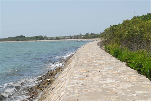 Vẻ đẹp thanh bình trên xã đảo Thạnh An ảnh 11