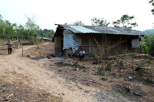 Các hộ dân tại bản Nậm Là 2, xã Mường Nhé, huyện Mường Nhé