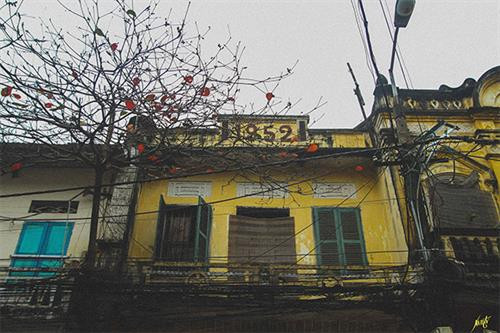 Một ngôi nhà trên phố cổ thành Nam.