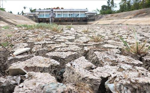 Lòng kênh trạm bơm Bình Phan đã cạn khô, nứt nẻ do không lấy được nước ngọt. Ảnh: Nam Thái - TTXVN Lòng kênh trạm bơm Bình Phan đã cạn khô, nứt nẻ do không lấy được nước ngọt. Ảnh: Nam Thái - TTXVN