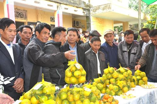 Du khách tham quan các gian trưng bày sản phẩm cam Quảng Châu, thành phố Hưng Yên. Ảnh: Mai Ngoan-TTXVN