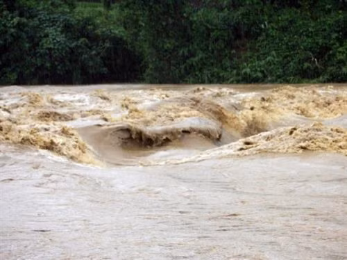 Ảnh minh họa - TTXVN