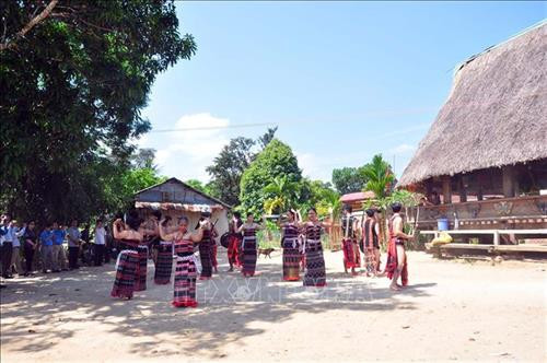 Đồng bào Cơ tu biểu diễn điệu múa tung tung da dá phục vụ khách du lịch trong sân nhà gươl của thôn Pà Ia, xã Tà Bhing, huyện Nam Giang, tỉnh Quảng Nam. Ảnh: Đỗ Trưởng - TTXVN Đồng bào Cơ tu biểu diễn điệu múa tung tung da dá phục vụ khách du lịch trong sân nhà gươl của thôn Pà Ia, xã Tà Bhing, huyện Nam Giang, tỉnh Quảng Nam. Ảnh: Đỗ Trưởng - TTXVN