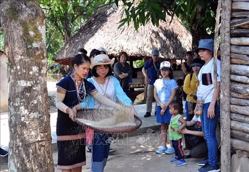 Một nữ du khách người Nhật Bản được người dân địa phương hướng dẫn cách sẩy thóc. Ảnh: Đỗ Trưởng - TTXVN