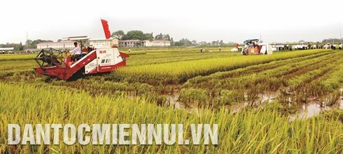 Đưa cơ giới hóa vào sản xuất nông nghiệp sau khi thực hiện dồn điền đổi thửa tại xã điểm xây dựng nông thôn mới Liên Mạc, huyện Mê Linh. Ảnh: Trịnh Văn Thành phố Hà Nội đặc biệt chú trọng tới công tác chăm sóc sức khỏe cho đồng bào dân tộc thiểu số. Trong ảnh: Kiểm tra sức khỏe miễn phí cho đồng bào dân tộc Mường ở huyện Ba Vì . Ảnh: Thanh Tùng Hiện đại hóa cơ sở hạ tầng, góp phần nâng cao chất lượng giáo dục ở huyện Đan Phượng. Ảnh: Thanh Tùng