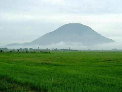 Cánh đồng ven núi Bà Đen – Tây Ninh
