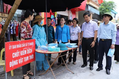 Vận chuyển lợn bệnh đi tiêu hủy ở xã Tự Nhiên, huyện Thường Tín. Phó Bí thư Thường trực Thành ủy Hà Nội Ngô Thị Thanh Hằng trực tiếp đi kiểm tra hố chôn lấp lợn bị nhiễm dịch phải tiêu hủy. Một điểm chôn lấp đã được đánh dấu, ghi chép và lưu giữ thông tin tại Ủy ban Nhân dân xã Tự Nhiên, huyện Thường Tín. Phó Bí thư Thường trực Thành ủy Hà Nội Ngô Thị Thanh Hằng kiểm tra công tác phòng, chống dịch tả lợn châu Phi tại chốt kiểm dịch xã Tự Nhiên, huyện Thường Tín.