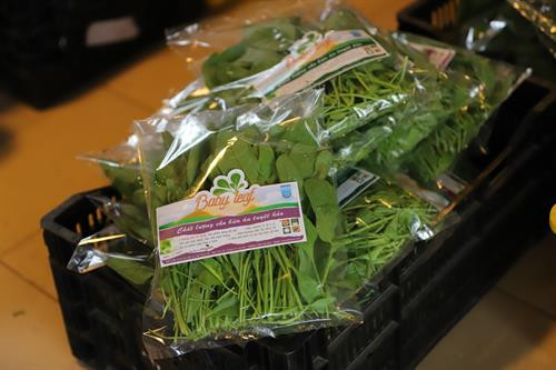 Phó Bí thư Thường trực Thành ủy Hà Nội Ngô Thị Thanh Hằng cho rằng, huyện Thường Tín cần tiếp tục đẩy mạnh chuyển đổi cơ cấu cây trồng, vật nuôi theo quy hoạch, phát triển các mô hình sản xuất nông nghiệp tập trung, áp dụng khoa học kỹ thuật, đem lại giá trị kinh tế cao. Sản phẩm rau của hợp tác xã rau Thanh Hà đã có mặt tại các siêu thị và cửa hàng rau sạch trên địa bàn thành phố Hà Nội.