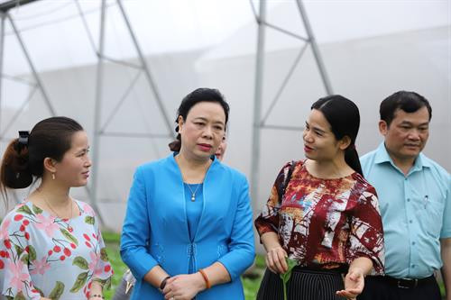 Phó Bí thư Thường trực Thành ủy Hà Nội Ngô Thị Thanh Hằng cho rằng, huyện Thường Tín cần tiếp tục đẩy mạnh chuyển đổi cơ cấu cây trồng, vật nuôi theo quy hoạch, phát triển các mô hình sản xuất nông nghiệp tập trung, áp dụng khoa học kỹ thuật, đem lại giá trị kinh tế cao. Sản phẩm rau của hợp tác xã rau Thanh Hà đã có mặt tại các siêu thị và cửa hàng rau sạch trên địa bàn thành phố Hà Nội.