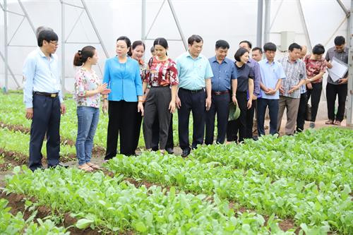Phó Bí thư Thường trực Thành ủy Hà Nội Ngô Thị Thanh Hằng thăm mô hình sản xuất rau an toàn của Hợp tác xã rau Thanh Hà thuộc xã Ninh Sở, huyện Thường Tín. Hợp tác xã rau Thanh Hà có quy mô 1,2 ha, sản xuất nông nghiệp theo hướng ứng dụng công nghệ cao.