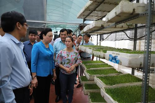 Phó Bí thư Thường trực Thành ủy Hà Nội Ngô Thị Thanh Hằng thăm mô hình sản xuất rau an toàn của Hợp tác xã rau Thanh Hà thuộc xã Ninh Sở, huyện Thường Tín. Hợp tác xã rau Thanh Hà có quy mô 1,2 ha, sản xuất nông nghiệp theo hướng ứng dụng công nghệ cao.