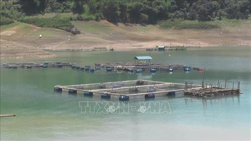 Nuôi cá lồng trên lòng hồ sông Đà. Ảnh: Thanh Hải – TTXVN