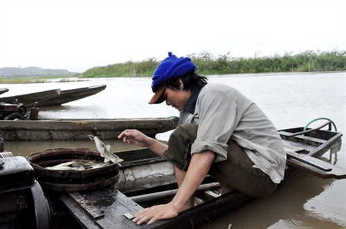 Ngư dân đánh bắt cá trên sông Krông Ana. Ngư dân đánh bắt cá trên sông Krông Ana.