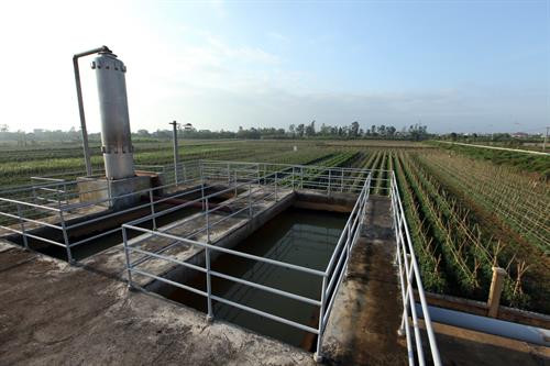 Hà Nội nâng cao chất lượng rau an toàn ảnh 3