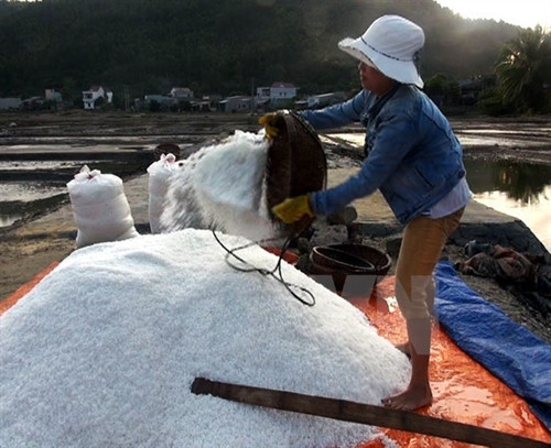 Muối trắng được trải phơi sau khai thác. (Ảnh: Sỹ Thắng/TTXVN) Muối trắng được trải phơi sau khai thác. (Ảnh: Sỹ Thắng/TTXVN)