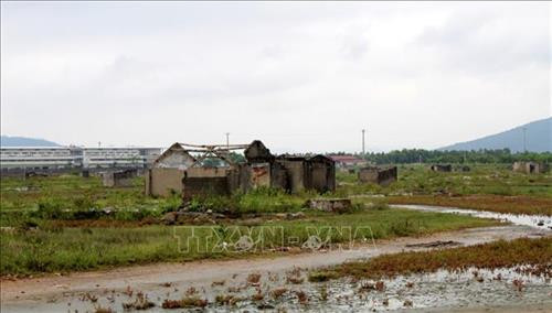 Nhiều diêm dân huyện Tĩnh Gia, Thanh Hóa đã bỏ hoang ruộng muối đi làm nghề khác mưu sinh. Ảnh: Nguyễn Nam-TTXVN Nhiều diêm dân huyện Tĩnh Gia, Thanh Hóa đã bỏ hoang ruộng muối đi làm nghề khác mưu sinh. Ảnh: Nguyễn Nam-TTXVN