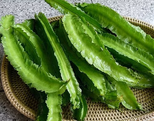 Lợi ích từ đậu rồng ảnh 2