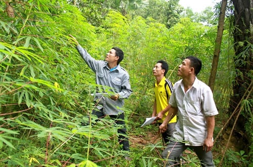 Nguyên nhân của tình trạng này là do giá trị tài sản trên đất sau khi giao được định giá lớn gấp nhiều lần so với giá trị thực tế. Nguyên nhân của tình trạng này là do giá trị tài sản trên đất sau khi giao được định giá lớn gấp nhiều lần so với giá trị thực tế.