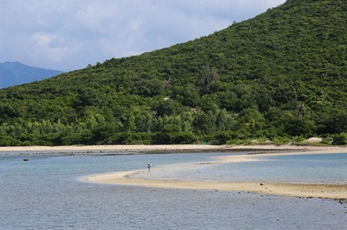 Phú Yên đâu chỉ có hoa vàng, cỏ xanh ảnh 6