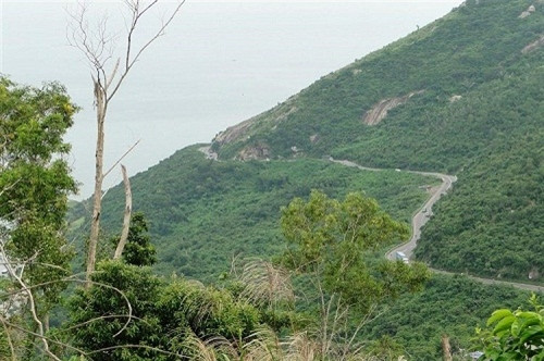 Phú Yên đâu chỉ có hoa vàng, cỏ xanh ảnh 1