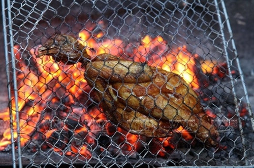 Gà được quét nước mắc khén đem nướng trên than hồng đến khi có màu vàng Gà được quét nước mắc khén đem nướng trên than hồng đến khi có màu vàng