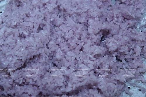 Gạo nếp được ngâm trong nước cẩm tím và đồ chín thành xôi Gạo nếp được ngâm trong nước cẩm tím và đồ chín thành xôi