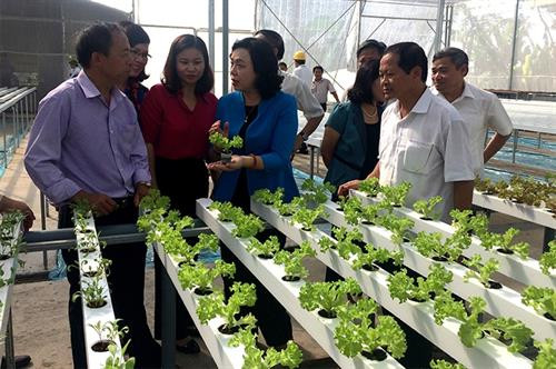 Lãnh đạo TP Hà Nội thăm mô hình trồng rau thủy canh trong nhà lưới tại xã Yên Mỹ, huyện Thanh Trì. Ảnh: nhandan.com.vn