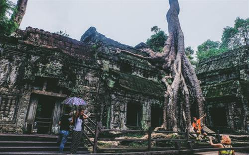 Ta Prohm - ngôi đền của những rễ cây kỳ dị ảnh 1 Ta Prohm - ngôi đền của những rễ cây kỳ dị ảnh 1
