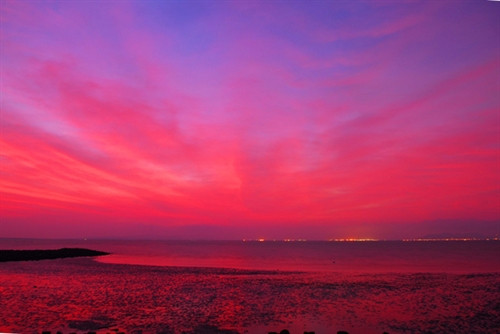 Vẻ đẹp thanh bình trên xã đảo Thạnh An ảnh 14