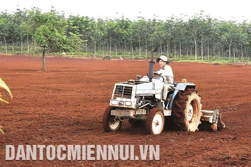 Xã Ia krêl đưa vào sử dụng 12 căn nhà cho những gia đình có công với cách mạng. Mỗi căn nhà được hỗ trợ 40 triệu đồng, gia đình chỉ đóng góp thêm từ 5 đến 10 triệu đồng. Huyện Đức Cơ đẩy mạnh cơ giới hóa vào sản xuất nông nghiệp. Chị Rơ Lan Er ở làng Yeh, xã Ia Lang có 2 ha cà phê, 500 trụ tiêu, 2 ha điều... mỗi năm thu nhập trên 200 triệu đồng. Chị luôn nhiệt tình giúp đỡ các chị em trong làng để cùng nhau vươn lên thoát nghèo.