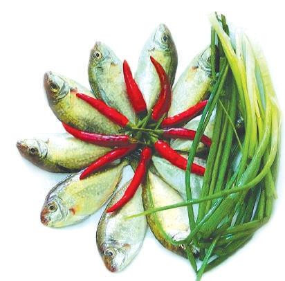 Độc đáo bánh khoái nhân cá kình ảnh 2 Độc đáo bánh khoái nhân cá kình ảnh 2