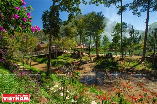 Huyền bí Ma Rừng lữ quán ảnh 2