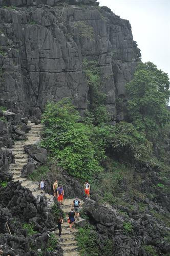 Đường lên Hang Múa. Ảnh: Minh Đức - TTXVN Đường lên Hang Múa. Ảnh: Minh Đức - TTXVN