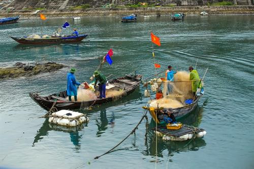 Đảo Cù Lao Chàm nhìn từ phía biển. Ảnh: Trọng Đạt - TTXVN Đánh bắt hải sản là nghề chính của người dân trên đảo Cù Lao Chàm. Ảnh: Trọng Đạt - TTXVN Một góc làng chài trên đảo Cù Lao Chàm. Ảnh: Trọng Đạt - TTXVN Một góc làng chài trên đảo Cù Lao Chàm. Ảnh: Trọng Đạt - TTXVN Trung tâm đảo Cù Lao Chàm. Cù lao Chàm bao gồm 8 đảo: Hòn Lao, Hòn Dài, Hòn Mồ, Hòn Khô mẹ, Hòn Khô con, Hòn Lá, Hòn Tai, Hòn Ông, với dân số khoảng 3.000 người. Ảnh: Trọng Đạt - TTXVN Một góc đảo Cù Lao Chàm. Ảnh: Trọng Đạt - TTXVN Vẻ đẹp bình yên trên đảo Cù Lao Chàm. Ảnh: Trọng Đạt - TTXVN Vẻ đẹp bình yên trên đảo Cù Lao Chàm. Ảnh: Trọng Đạt - TTXVN Chùa cổ Hải Tạng trên Cù Lao Chàm là công trình kiến trúc tôn giáo tín ngưỡng thờ Phật kết hợp thờ thánh thần, nhằm đáp ứng nhu cầu tín ngưỡng của ngư dân trên đảo Cù Lao Chàm nói riêng và cho thương thuyền các nước ghé vào hành lễ cung kính tín ngưỡng Phật giáo. Chùa được xây dựng vào năm Cảnh Hưng thứ 19 (1758). Ảnh: Trọng Đạt – TTXVN Vẻ đẹp bình yên trên đảo Cù Lao Chàm. Ảnh: Trọng Đạt - TTXVN Đảo Cù Lao Chàm nhìn từ phía biển. Ảnh: Trọng Đạt - TTXVN Đánh bắt hải sản là nghề chính của người dân trên đảo Cù Lao Chàm. Ảnh: Trọng Đạt - TTXVN Một góc làng chài trên đảo Cù Lao Chàm. Ảnh: Trọng Đạt - TTXVN Một góc làng chài trên đảo Cù Lao Chàm. Ảnh: Trọng Đạt - TTXVN Trung tâm đảo Cù Lao Chàm. Cù lao Chàm bao gồm 8 đảo: Hòn Lao, Hòn Dài, Hòn Mồ, Hòn Khô mẹ, Hòn Khô con, Hòn Lá, Hòn Tai, Hòn Ông, với dân số khoảng 3.000 người. Ảnh: Trọng Đạt - TTXVN Một góc đảo Cù Lao Chàm. Ảnh: Trọng Đạt - TTXVN Vẻ đẹp bình yên trên đảo Cù Lao Chàm. Ảnh: Trọng Đạt - TTXVN Vẻ đẹp bình yên trên đảo Cù Lao Chàm. Ảnh: Trọng Đạt - TTXVN Chùa cổ Hải Tạng trên Cù Lao Chàm là công trình kiến trúc tôn giáo tín ngưỡng thờ Phật kết hợp thờ thánh thần, nhằm đáp ứng nhu cầu tín ngưỡng của ngư dân trên đảo Cù Lao Chàm nói riêng và cho thương thuyền các nước ghé vào hành lễ cung kính tín ngưỡng Phật giáo. Chùa được xây dựng vào năm Cảnh Hưng thứ 19 (1758). Ảnh: Trọng Đạt – TTXVN Vẻ đẹp bình yên trên đảo Cù Lao Chàm. Ảnh: Trọng Đạt - TTXVN