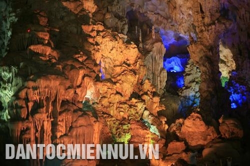 Các nhũ đá sống động được tạo ra ở động Thiên Cung. Ảnh: Đinh Công