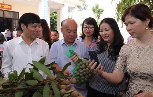 Phó Chủ tịch Thường trực Ủy ban Nhân dân Thành phố Hà Nội Nguyễn Văn Sửu (bên phải) thăm các gian hàng giới thiệu sản phẩm nông nghiệp của huyện Quốc Oai. Lãnh đạo ngành Nông nghiệp Hà Nội cùng đánh giá chất lượng sản phẩm nhãn chín muộn. Ông Nguyễn Xuân Đại, Phó Giám đốc Sở Nông nghiệp và Phát triển nông thôn Hà Nội kiểm tra việc truy xuất nguồn gốc sản phẩm nhãn chín muộn của huyện Quốc Oai.
