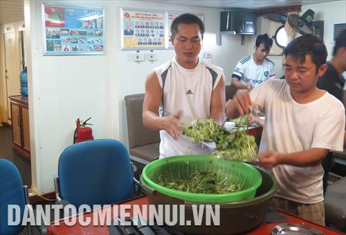 Thỉnh thoảng, rau xanh trồng từ các nhà giàn được tăng cường, trở thành nguồn thực phẩm quí của cán bộ, chiến sĩ trên tàu chở các đoàn công tác, các tàu trực trên vùng biển thuộc thềm lục địa phía Nam của tổ quốc
