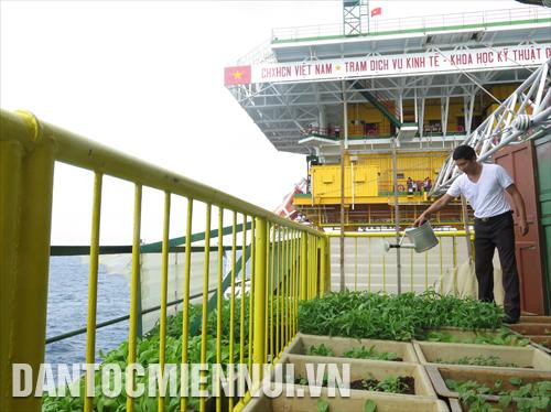 Chiến sĩ Nhà giàn DK1-8 chăm sóc rau xanh trên nhà giàn cũ, phía sau là nhà giàn mới được sửa chữa, nâng cấp