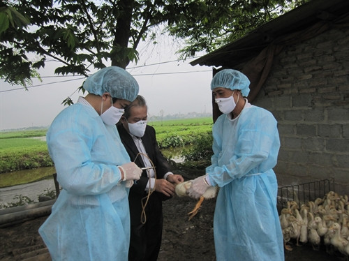 Lãnh đạo Chi cục kiểm tra, hướng dẫn việc tiêm phòng