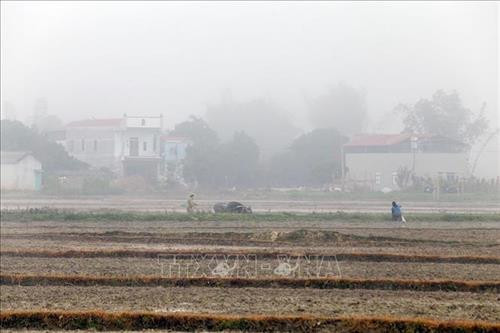 Rét đậm, rét hại có thể gây ảnh hưởng đến việc gieo cấy kịp khung thời vụ của người nông dân. Ảnh: Phan Tuấn Anh - TTXVN Rét đậm, rét hại có thể gây ảnh hưởng đến việc gieo cấy kịp khung thời vụ của người nông dân. Ảnh: Phan Tuấn Anh - TTXVN