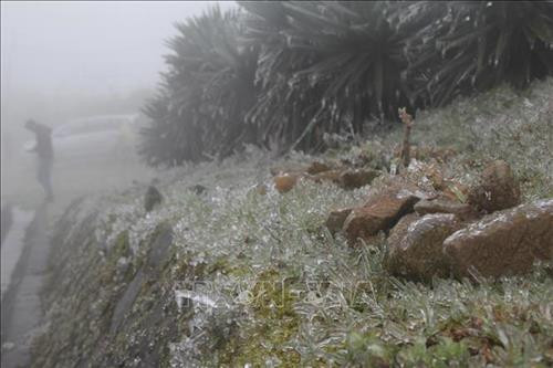 Băng giá bám vào ngọn cỏ, tảng đá tại Mẫu Sơn. Ảnh: Quang Duy – TTXVN