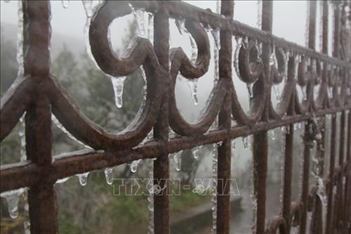 Băng giá xuất hiện tại đỉnh núi Mẫu Sơn. Ảnh: Quang Duy – TTXVN