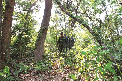 Một buổi tuần tra biên giới của các chiến sĩ Đồn biên phòng Mường Lạn, huyện Sốp Cộp