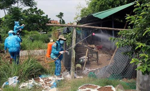 Tiêu độc khử trùng trại gà bị chết do bệnh dịch H5N6. Ảnh: Thế Lập - TTXVN